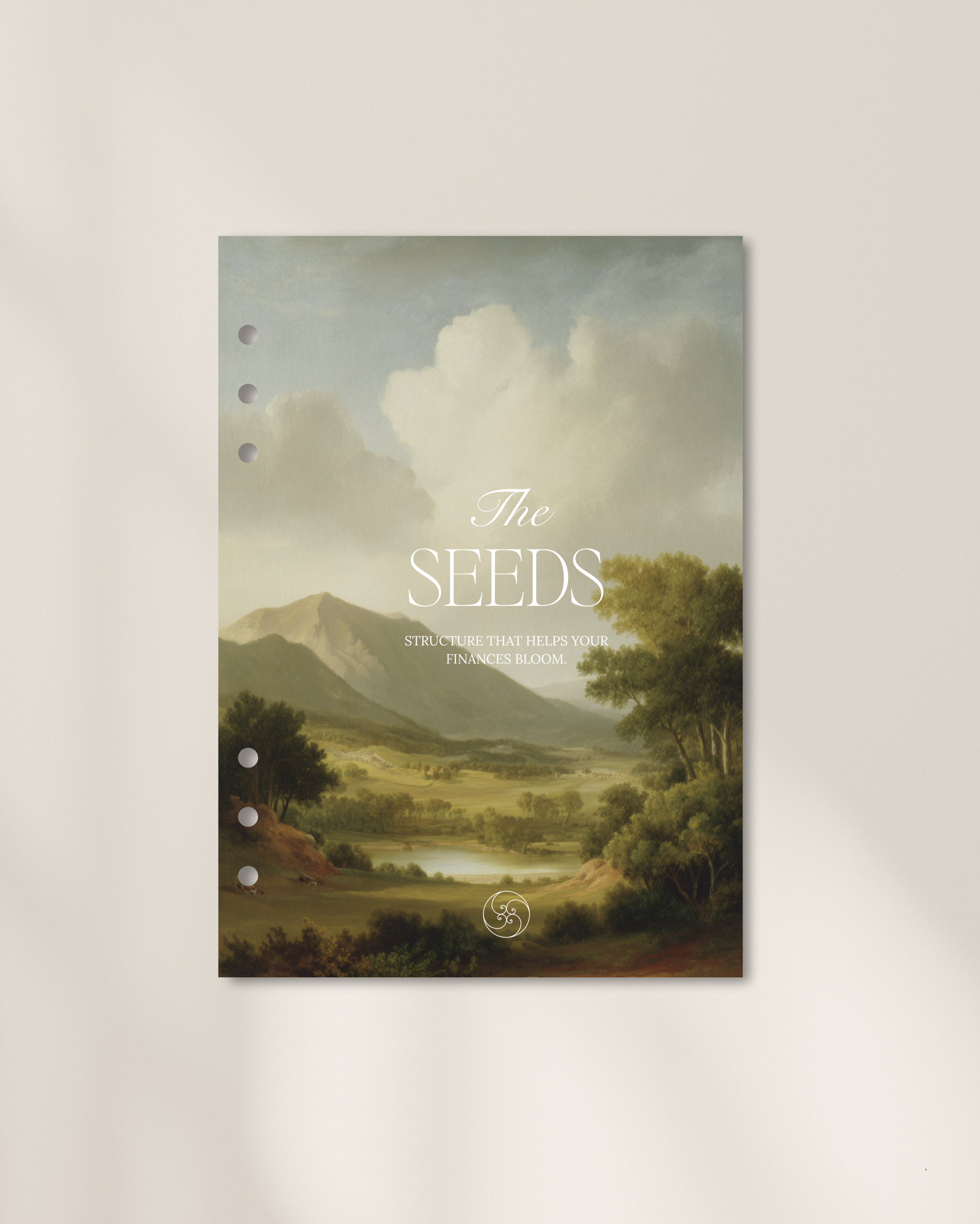 The Seeds - Planificator Financiar