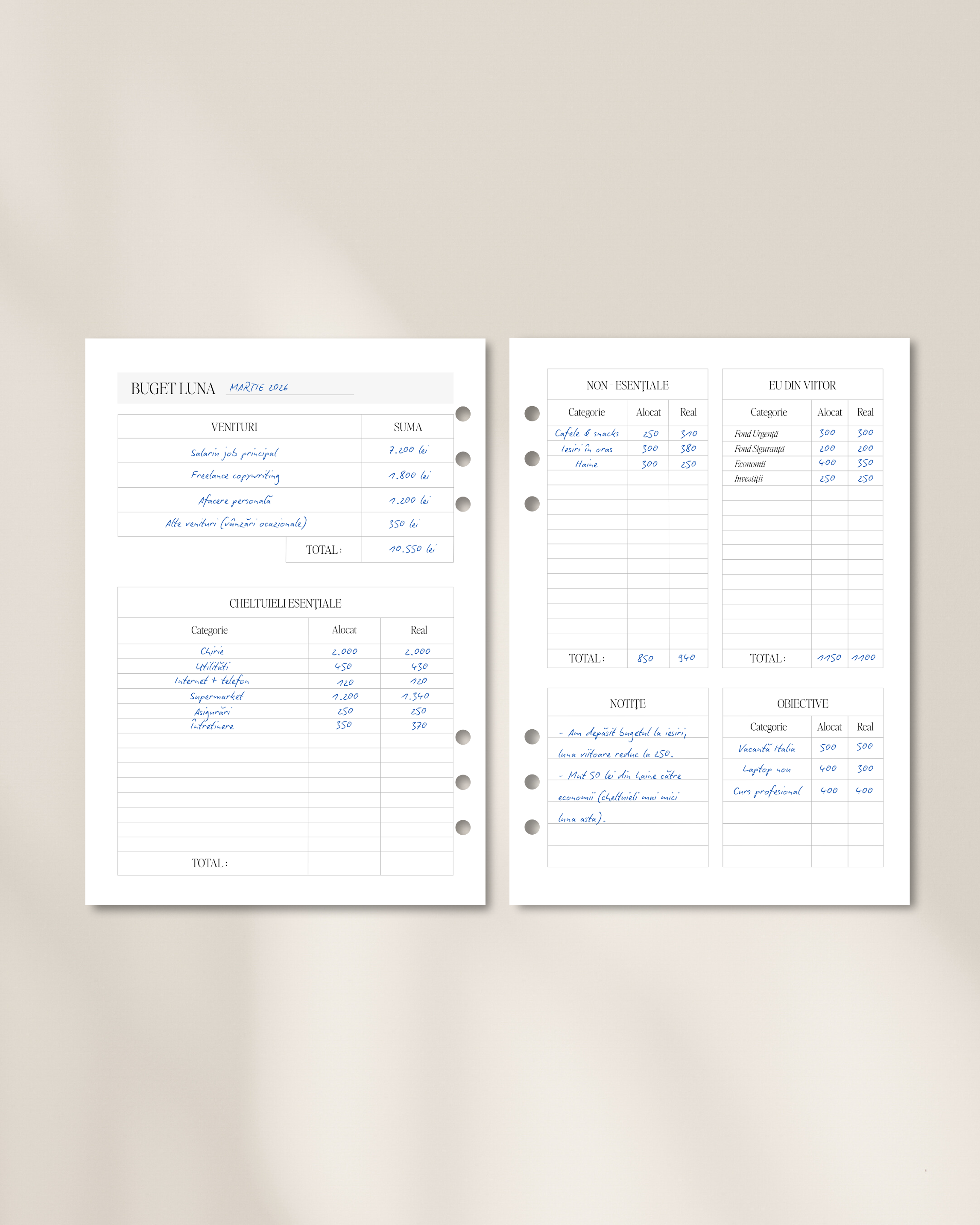 The Seeds - Planificator Financiar