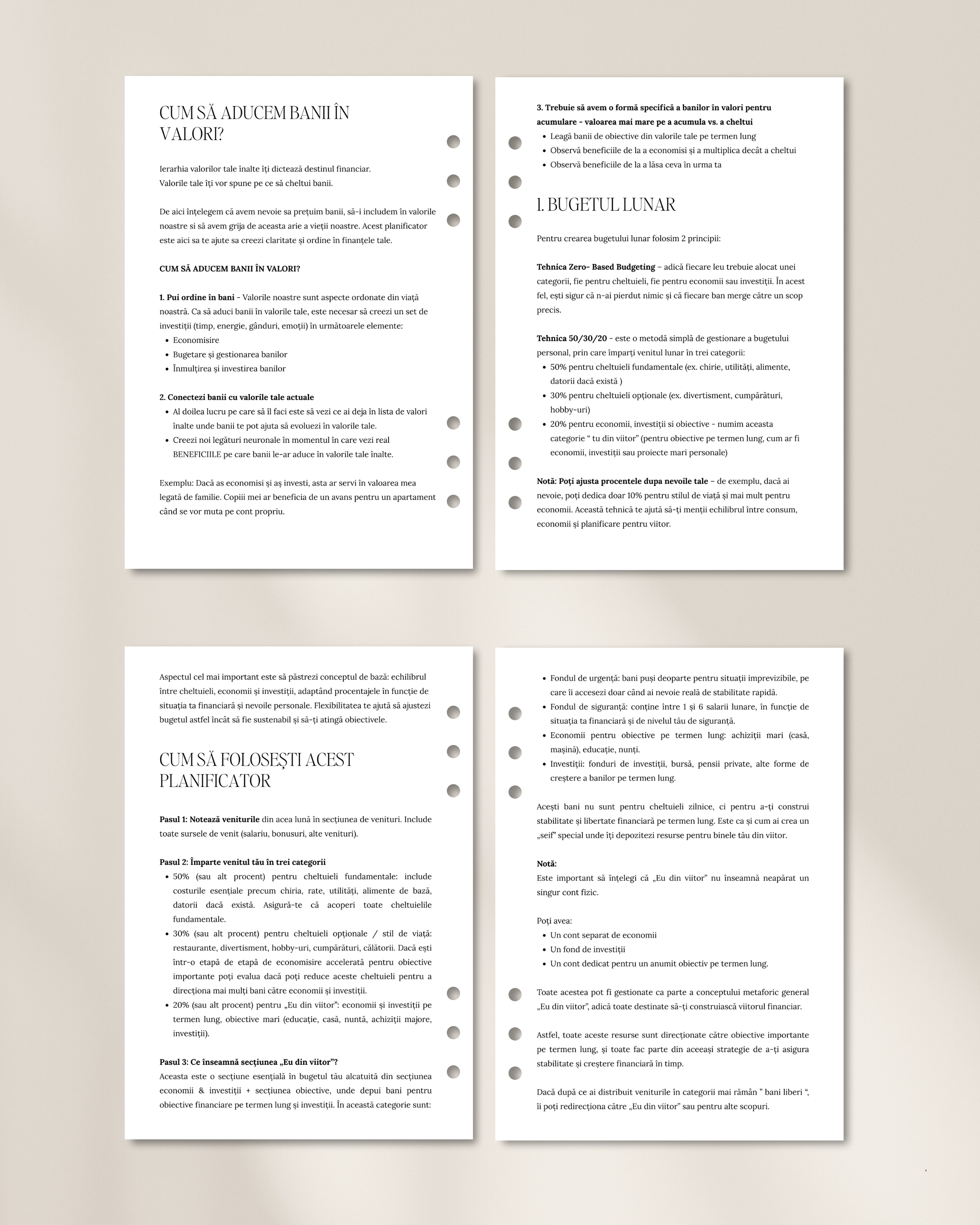 The Seeds - Planificator Financiar