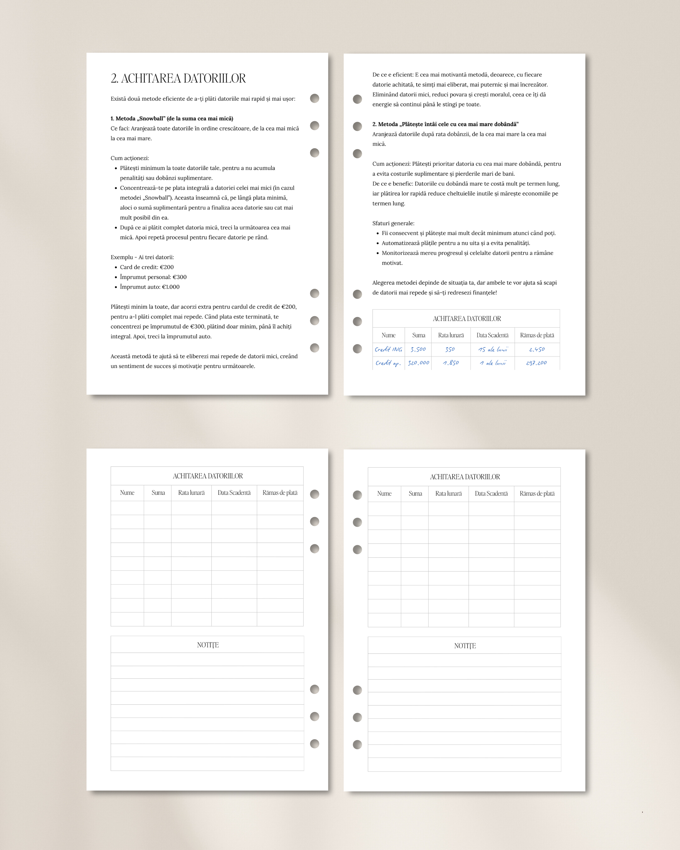 The Seeds - Planificator Financiar