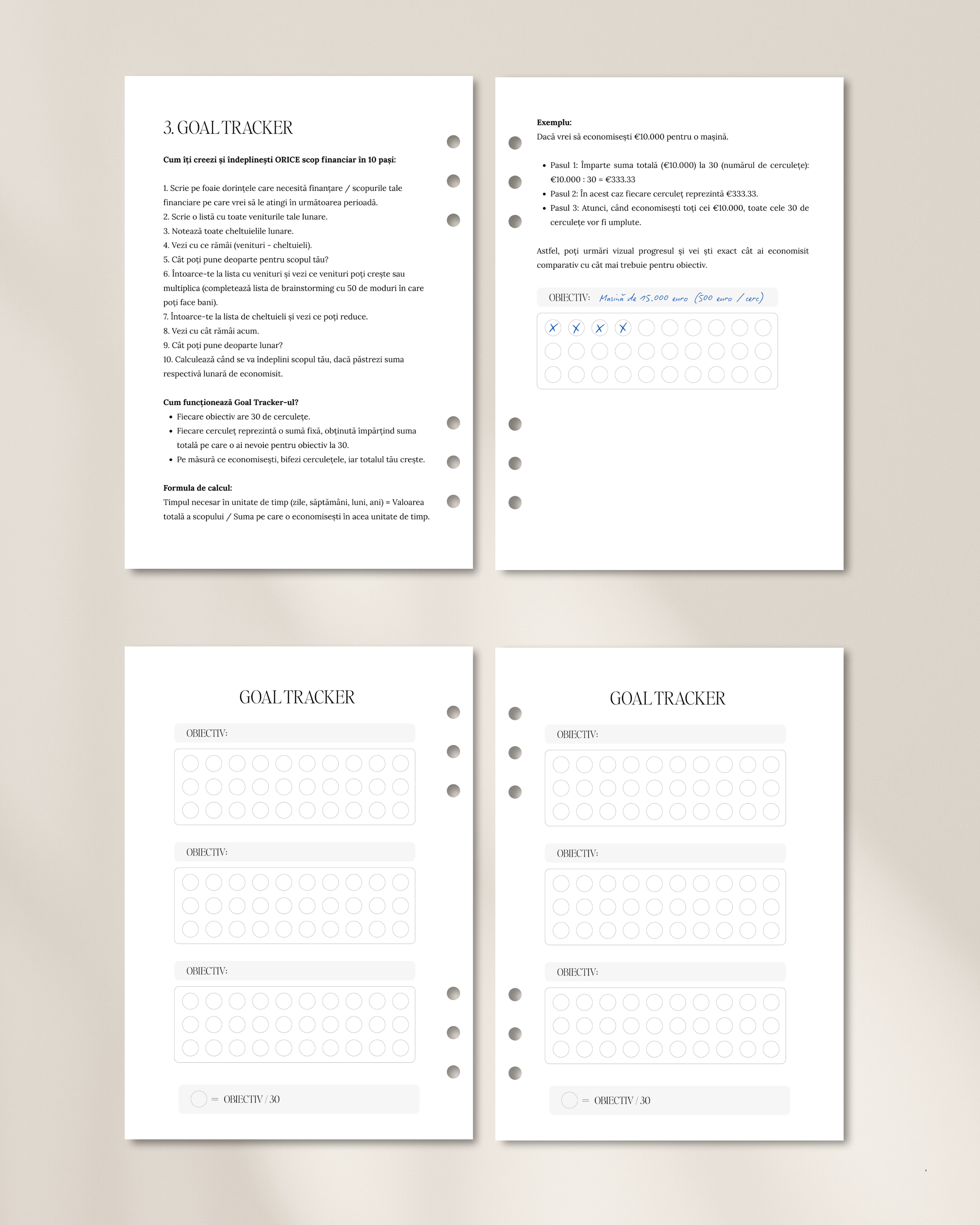 The Seeds - Planificator Financiar