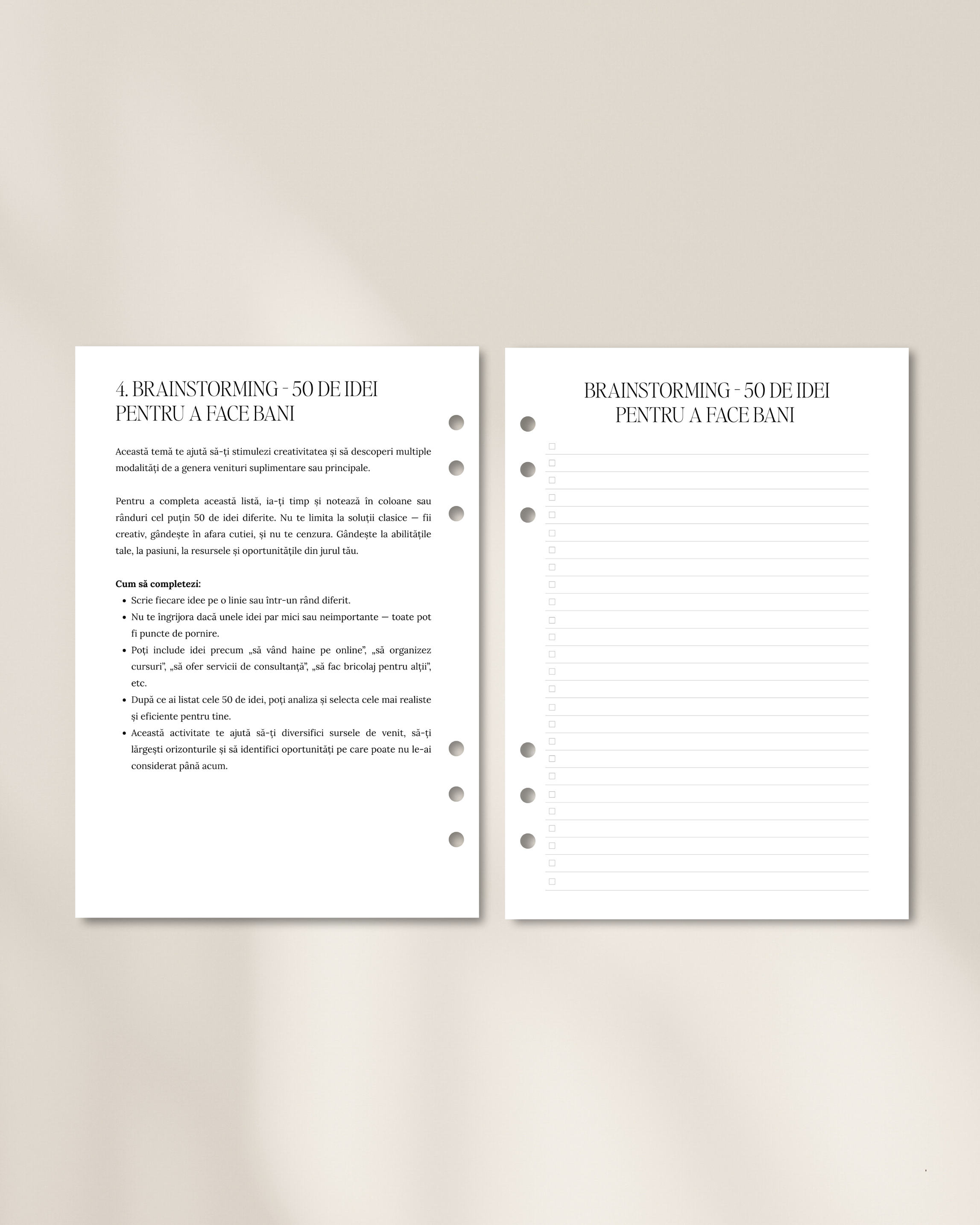 The Seeds - Planificator Financiar